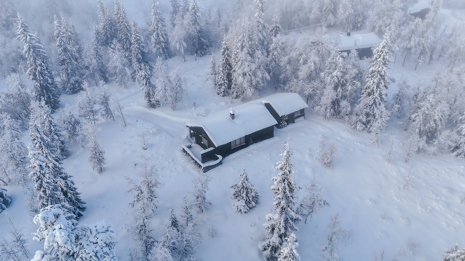 Hytta ligger tett på flotte naturområder, året rundt. Galleribilde