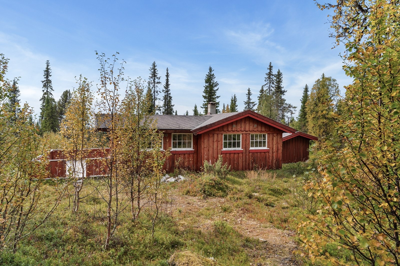 Velkommen til visning! Galleribilde