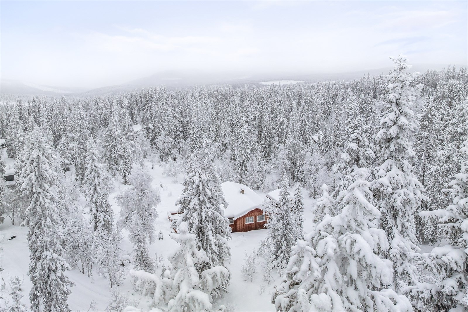 Området byr på et variert terreng med et nettverk av godt merkede tur- og sykkelstier. Galleribilde