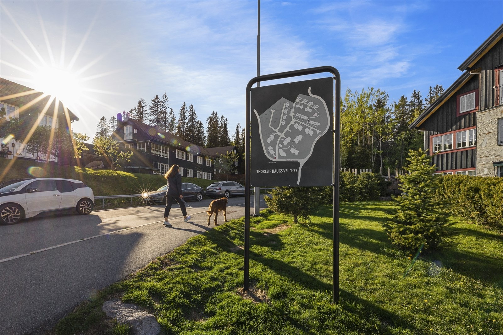 Sameiet består av 54 seksjoner (seksjon 1-22 og seksjon 48-79). Sameiebyggene har adresse Thorleif Haugs vei 1-9 og 75-77. Sameiet har felles bilvaskeplass, sykkelparkering og smørebod Galleribilde