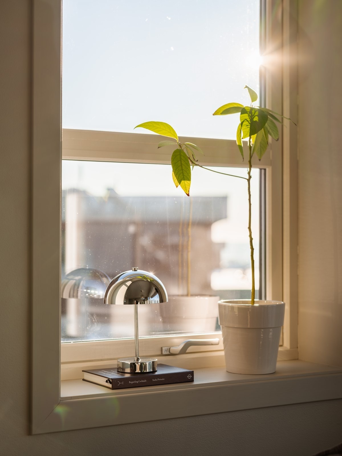 Vinduskarmene gir plass til planter og dekor. Galleribilde