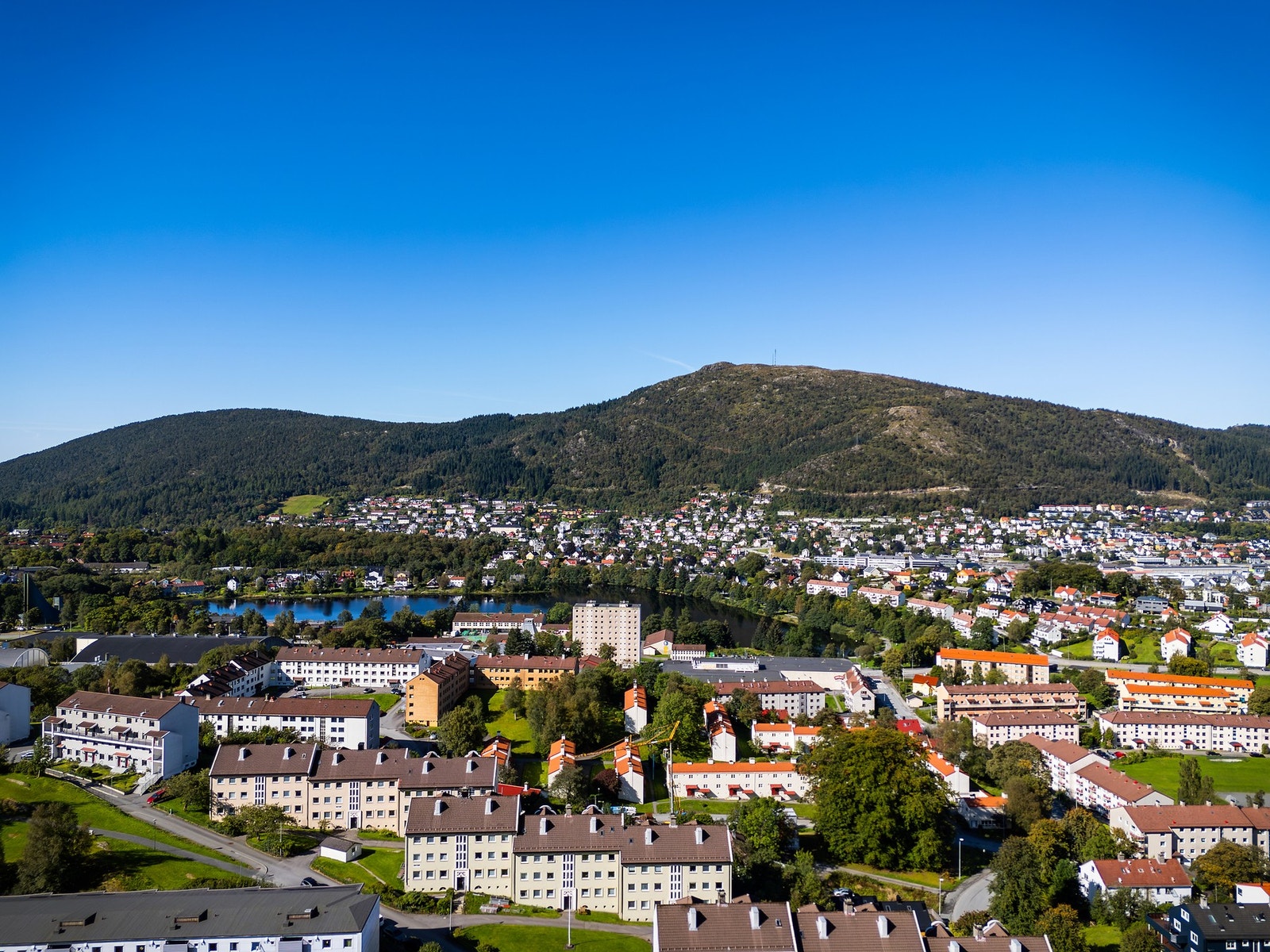 - Borettslaget har trivelige grøntarealer - i form av hage, diverse beplanting og lekeplasser - Galleribilde