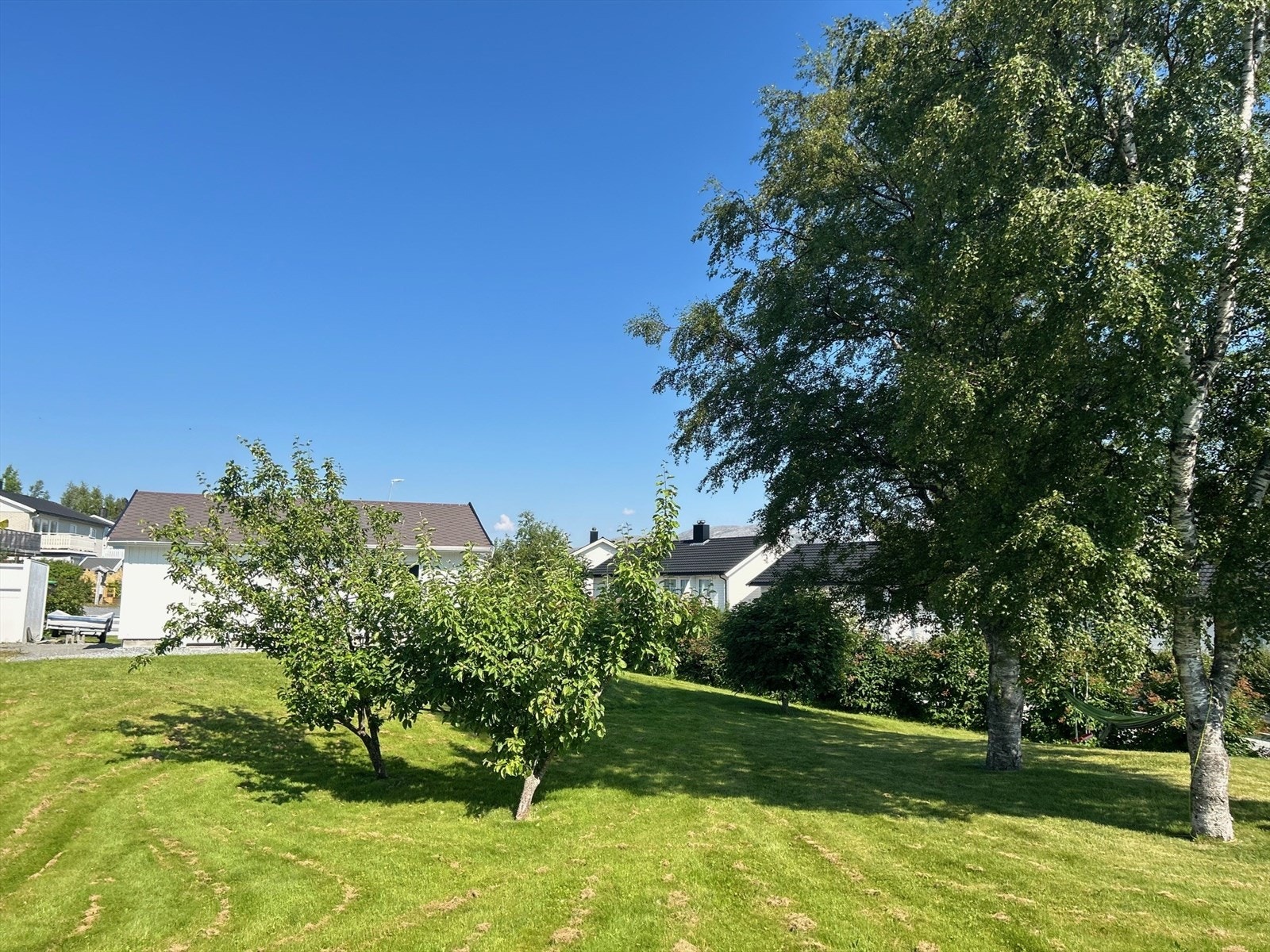 Når den frodige tomten og bærbuskene står i sin beste prakt Galleribilde