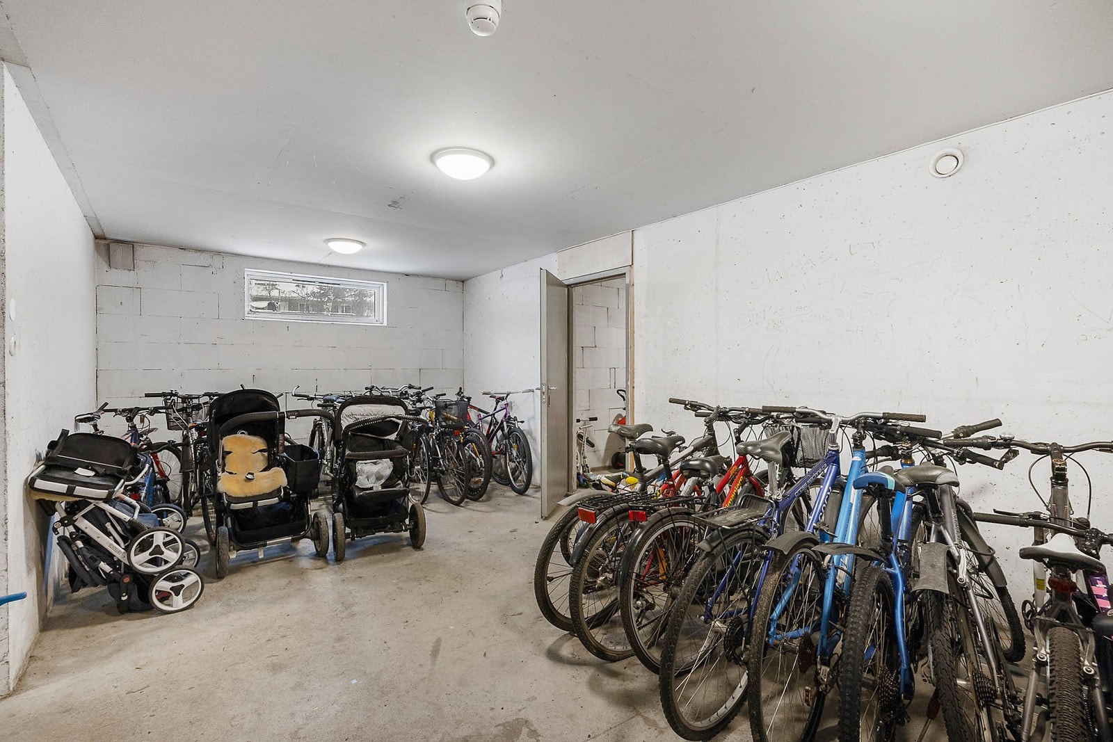 Felles sportsbod Galleribilde