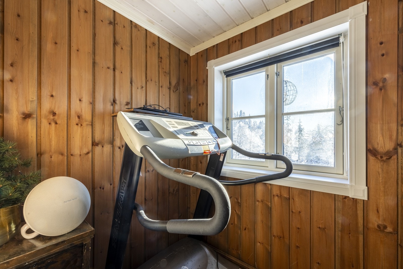 Opprinnelig godkjent som bod, men er i bruk som trimrom/småbarnsrom Galleribilde