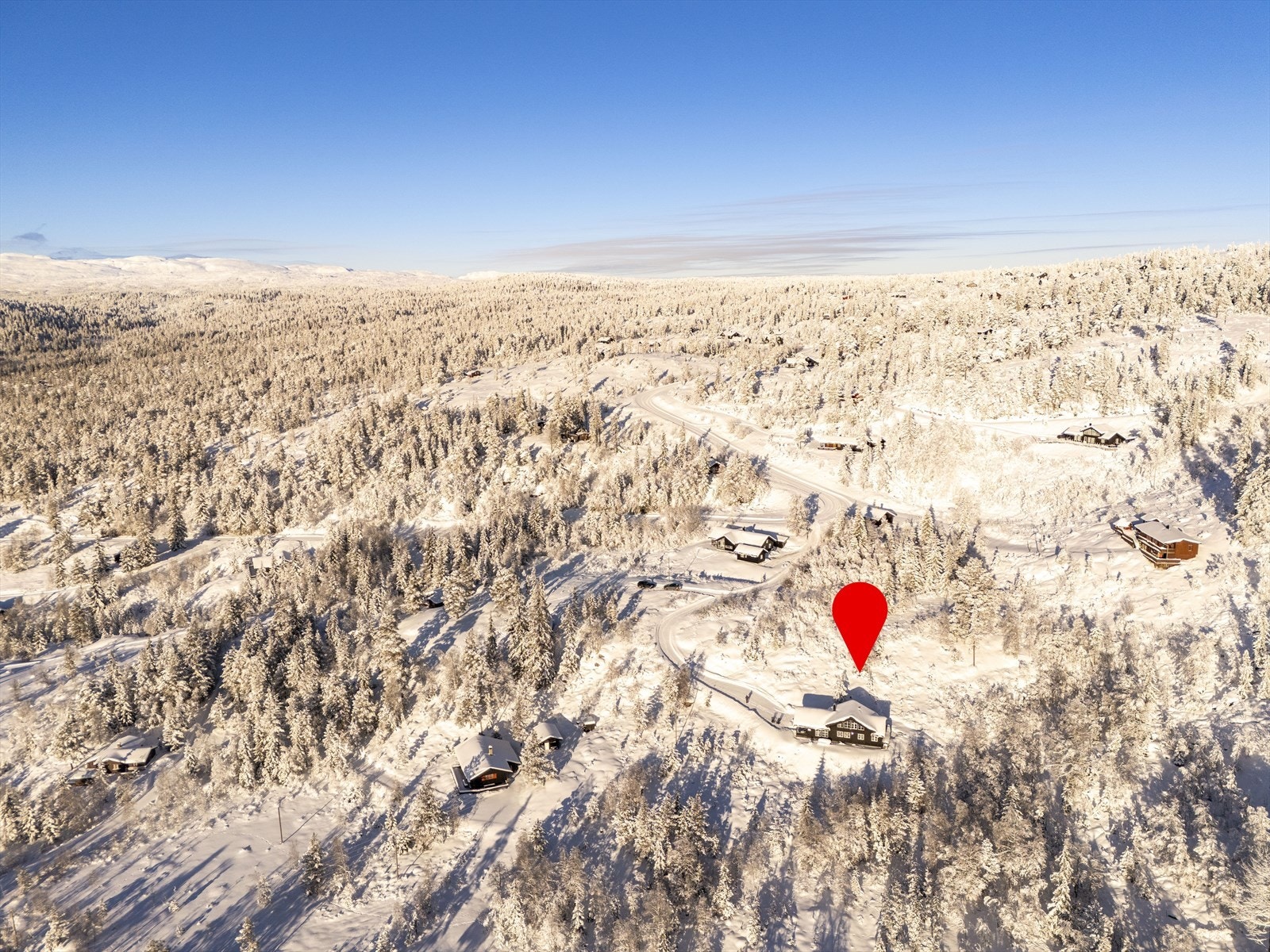 Oversiktsfoto mot nordvest Galleribilde