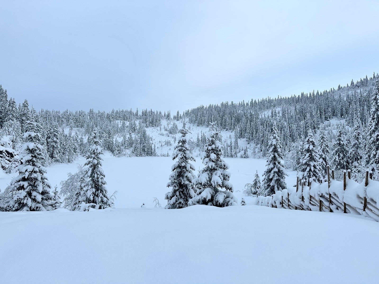 Eiendommen er fint beliggende med nærhet til Svartetjern. På sommerstid er det gode muligheter for å bade og fiske. Galleribilde