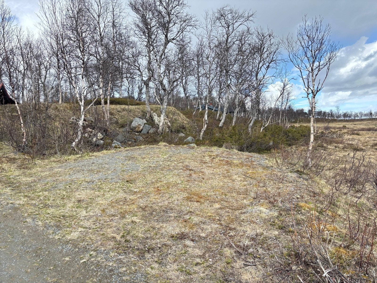 Parkeringsplass. Galleribilde