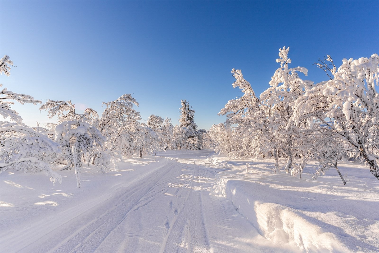 Området har vinterveg Galleribilde