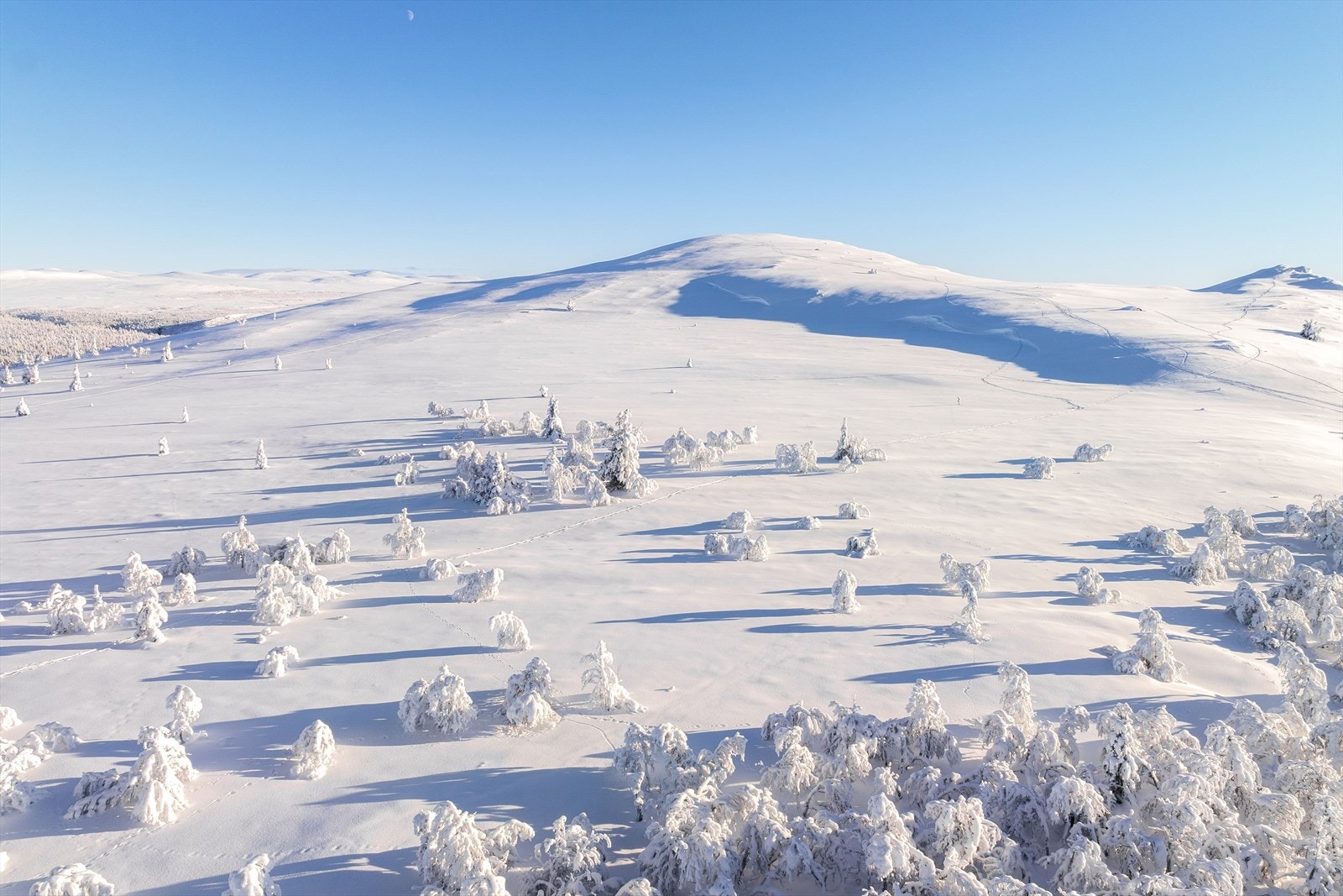 Venabygdsfjellet er en helårsdestiansjon med flotte turmuligheter i både skogsterreng og på snaufjellet. Galleribilde