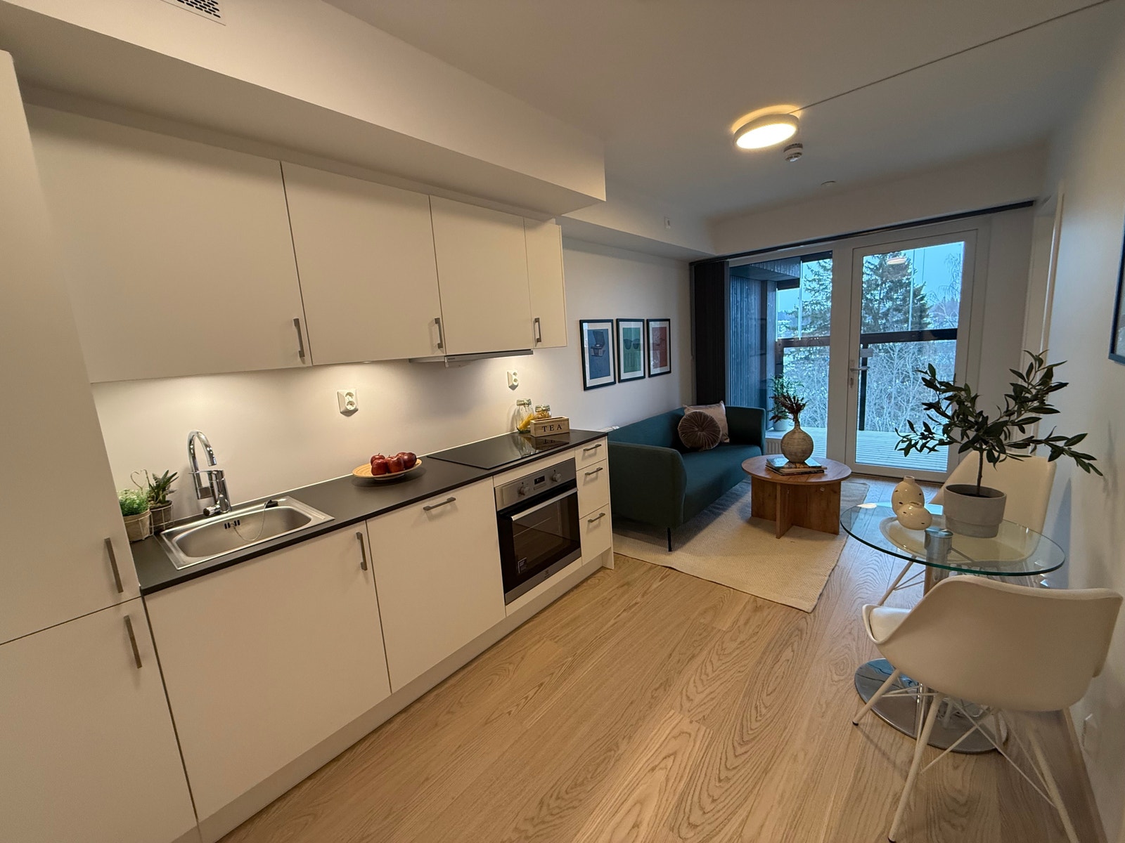 LYS OG LEKKER STUE MED KJØKKEN Galleribilde