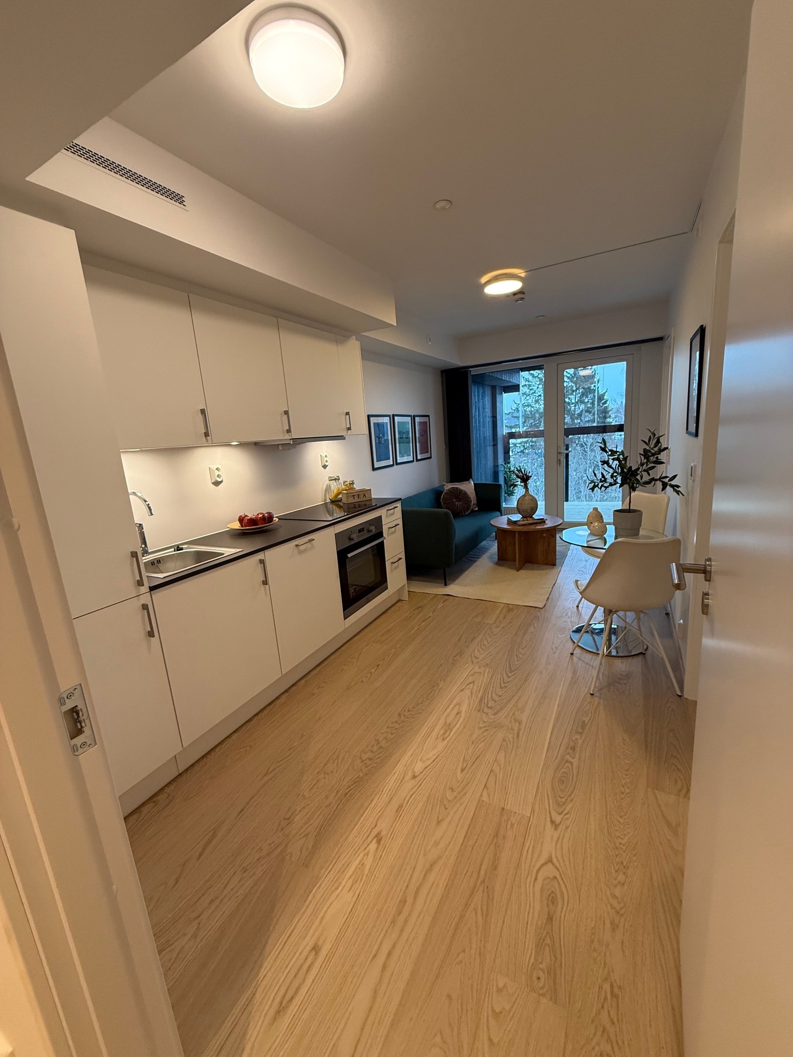 LYS OG LEKKER STUE MED KJØKKEN Galleribilde
