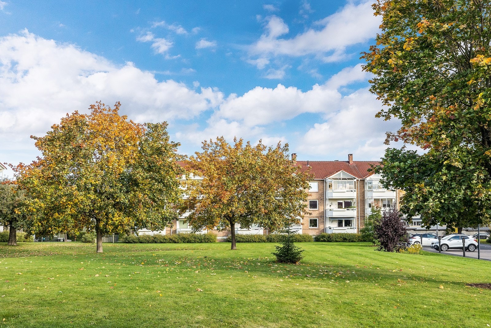 Velkommen til en hyggelig visning! Galleribilde