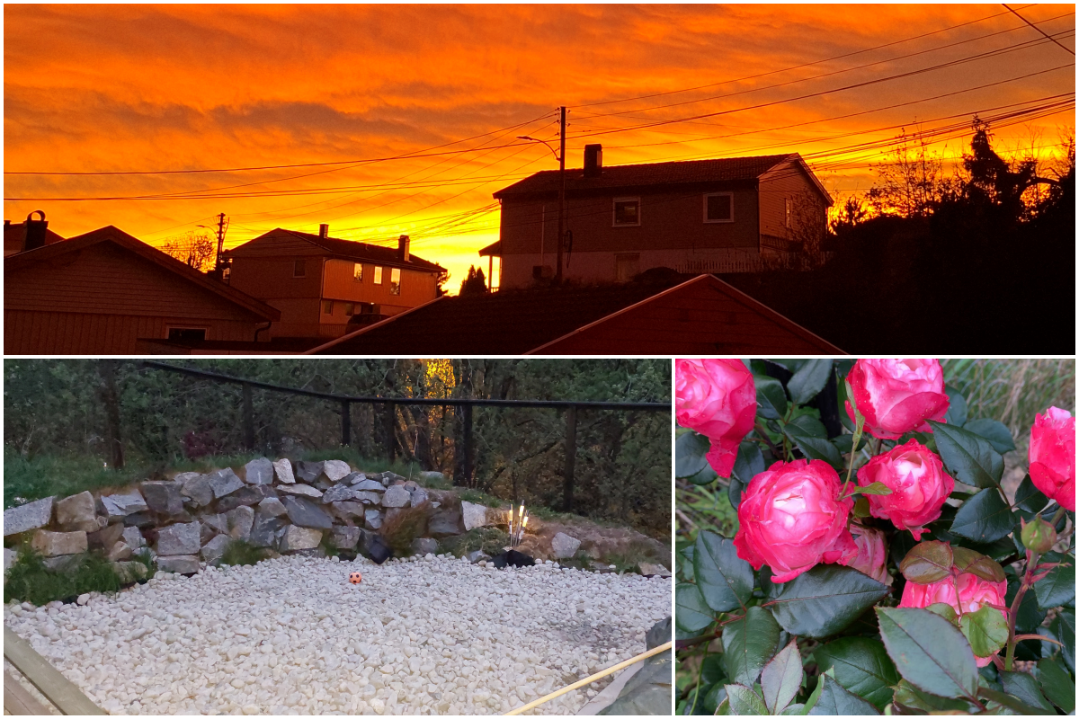 Selgers egne bilder Galleribilde