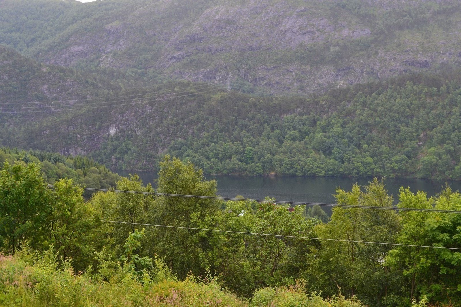 Boligen har en sentral, men svært rolig beliggenhet. Galleribilde