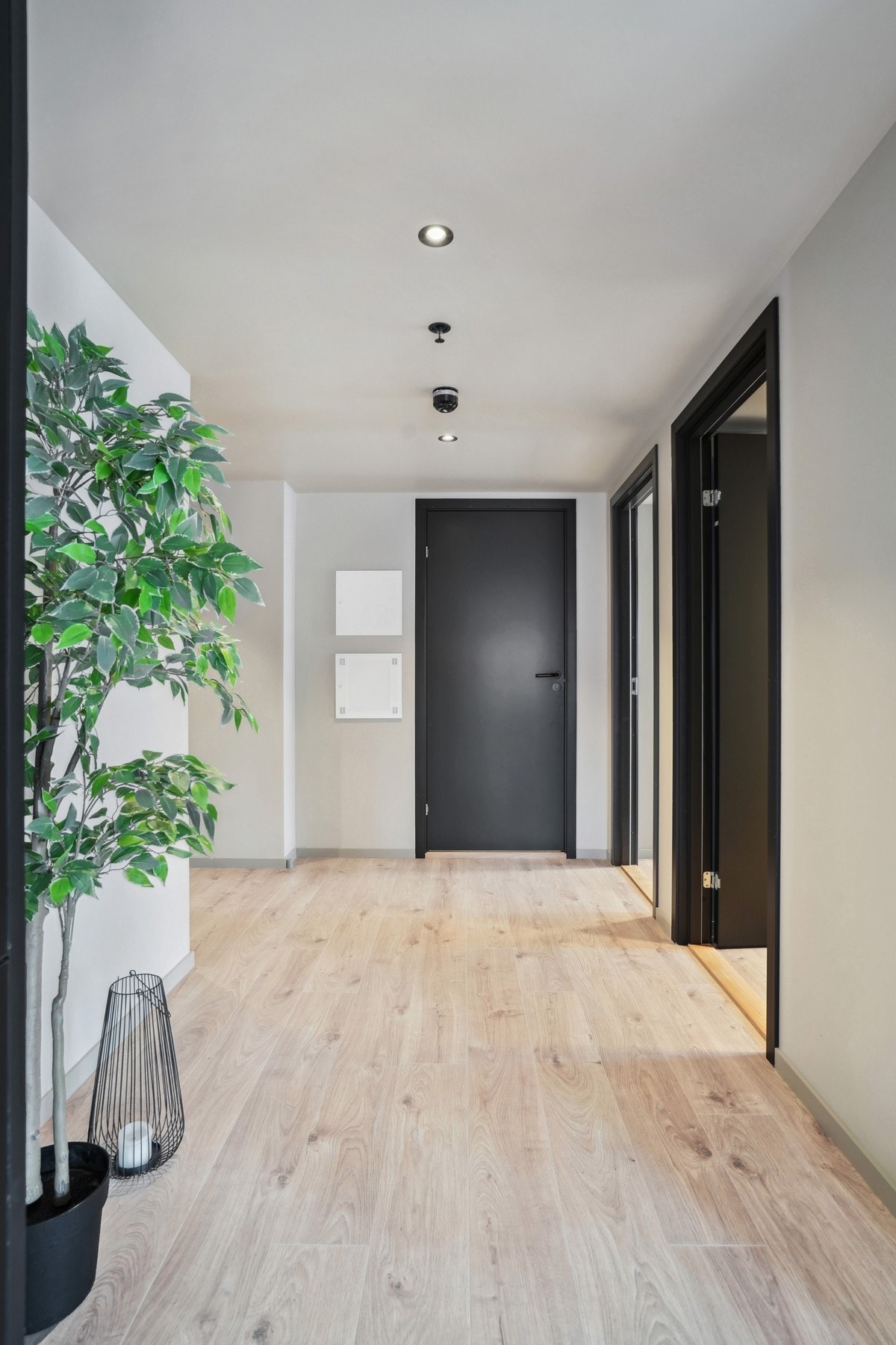 Entréen gir deg en fin velkomst inn til leiligheten og har god plass til både sko- og yttertøyet. Det er downlights i himling. Galleribilde