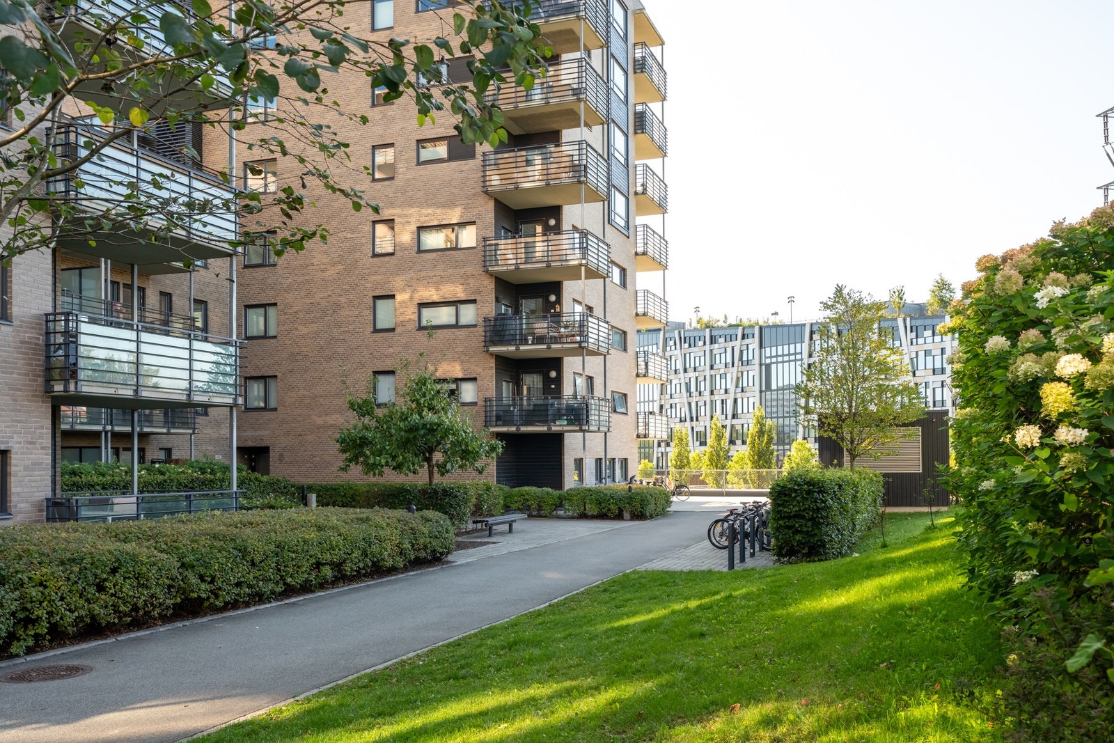 Sameiet er pent opparbeidet med sykkelstativ, sittebenker og beplantning. Galleribilde