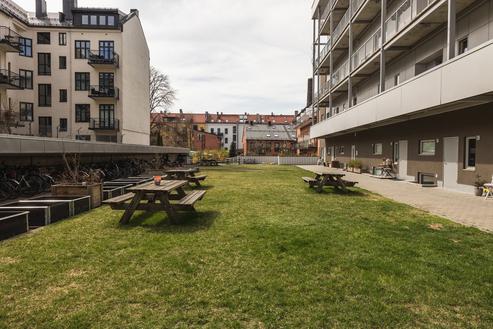 Koselig felles bakgård med plen og sittegrupper. Galleribilde