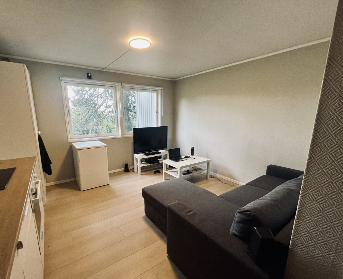 Nyoppusset rom - tregulv og dimmbar taklampe - variasjoner kan forekomme Galleribilde