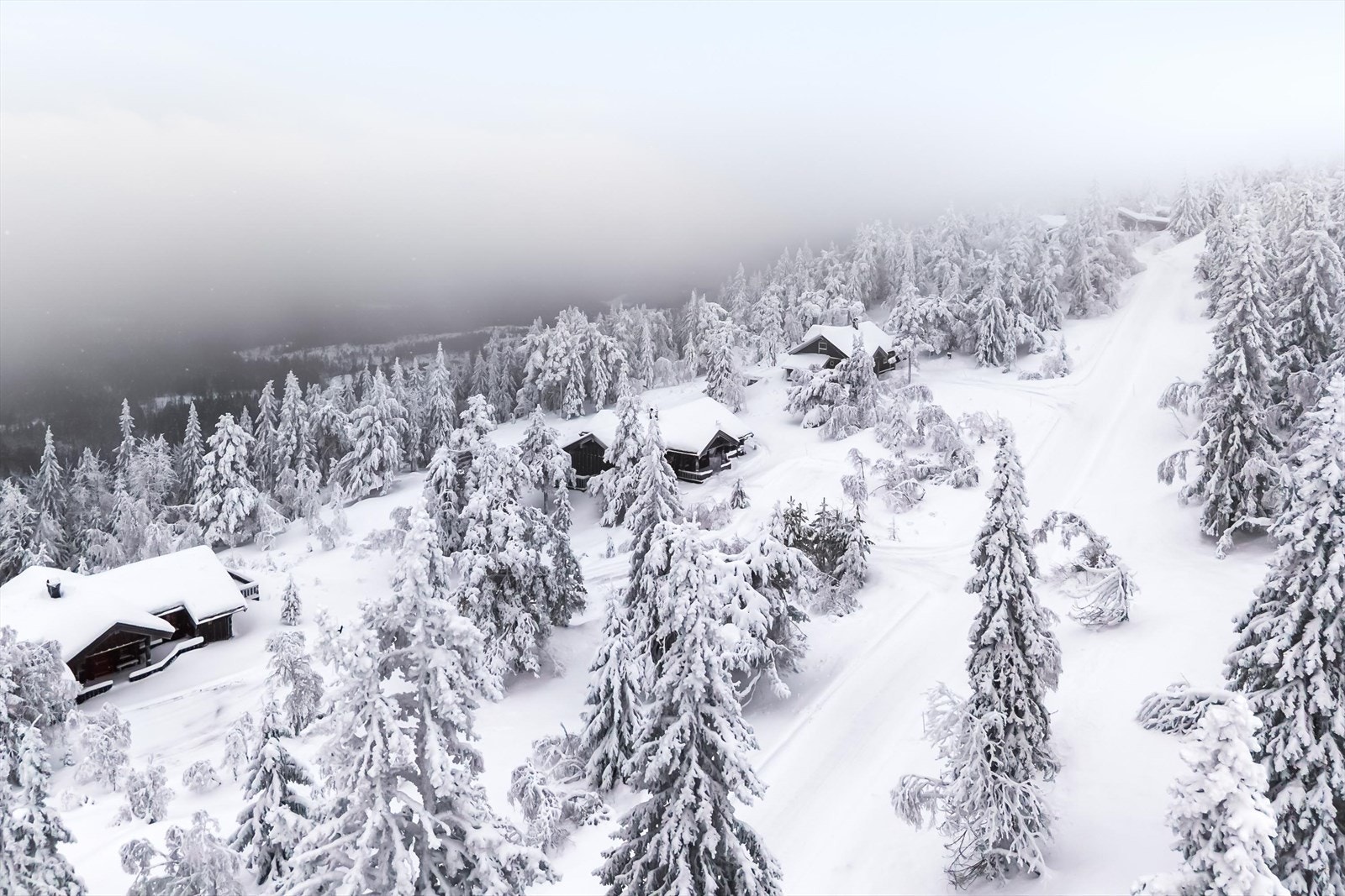 En flott hytte med usjenert beliggenhet på Stemtjønnfeltet i Nissedal, med 4 soverom, 2 bad, badstue og store terrassearealer med gode solforhold og flott utsikt mot fjellandskapet. Galleribilde