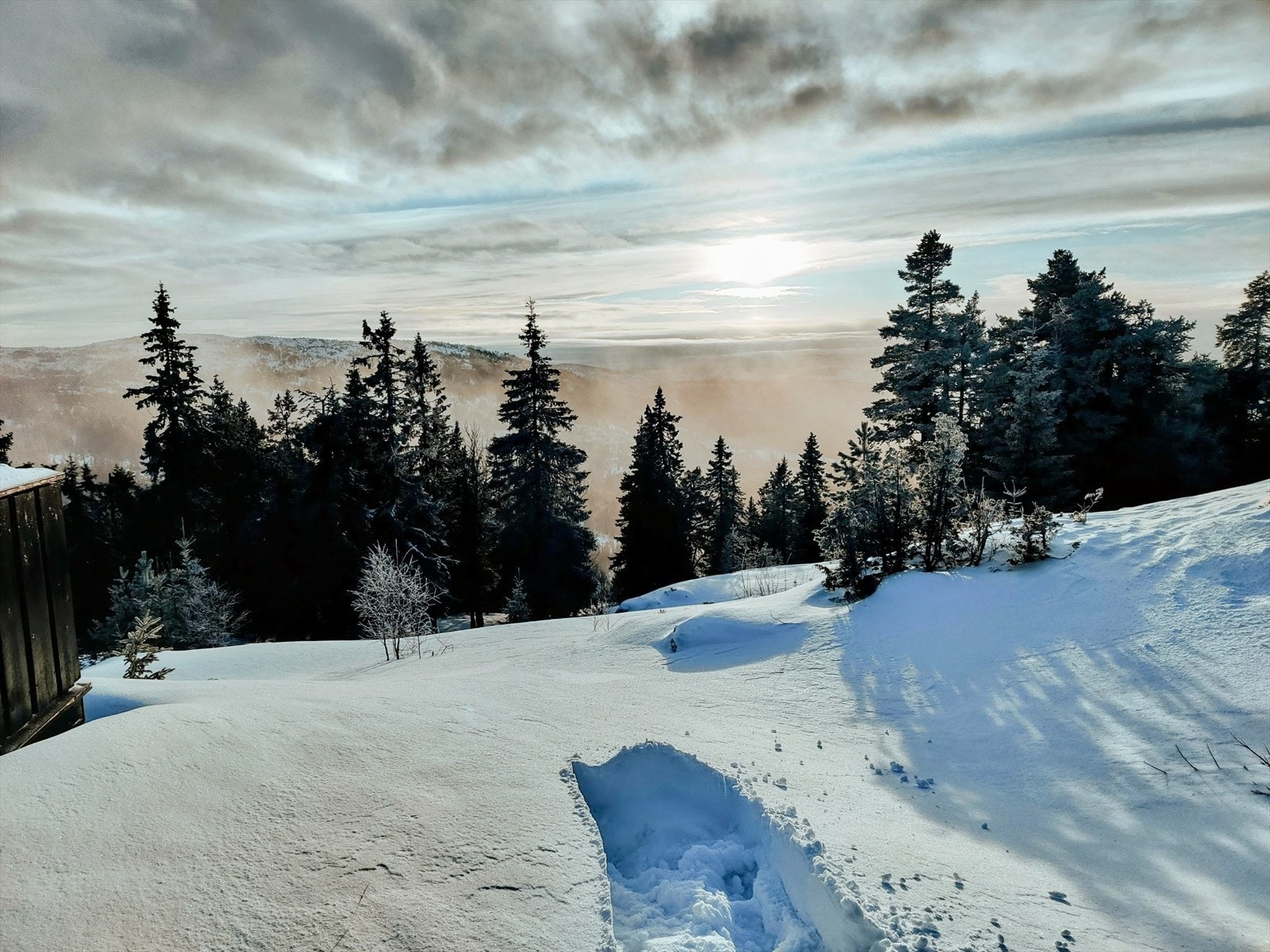 Flott utsikt. Galleribilde