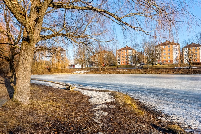 Få minutters gange til idylliske Hovindammen Galleribilde
