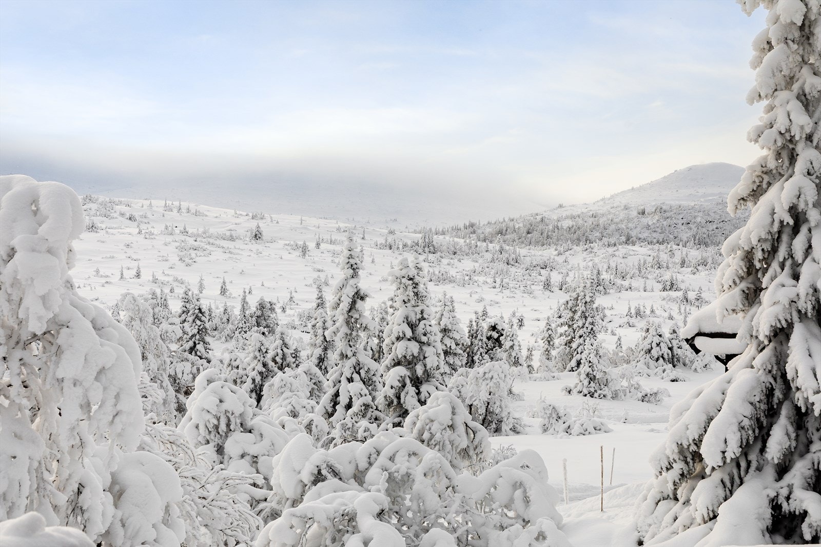 Utenfor døren er det et eldorado av muligheter. Galleribilde