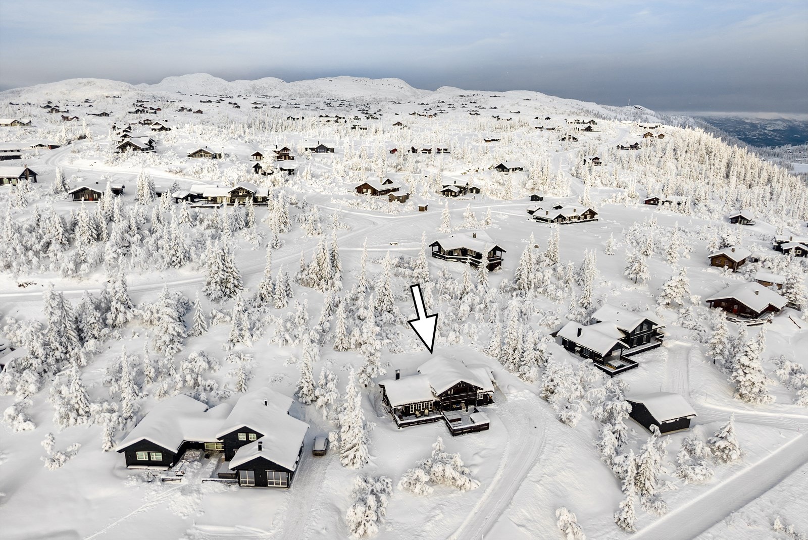 Et veletablert og populært felt på Høgevarde. Galleribilde