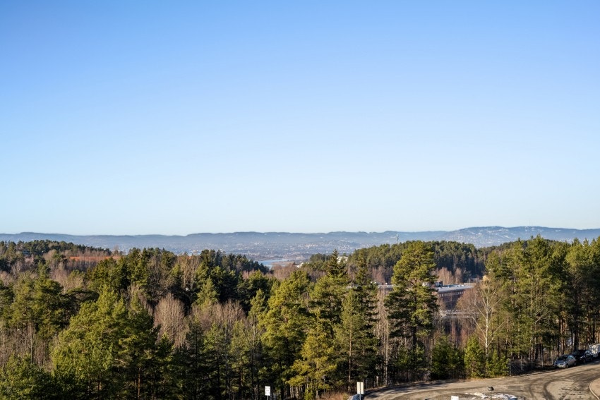 Liakollen 3 Galleribilde