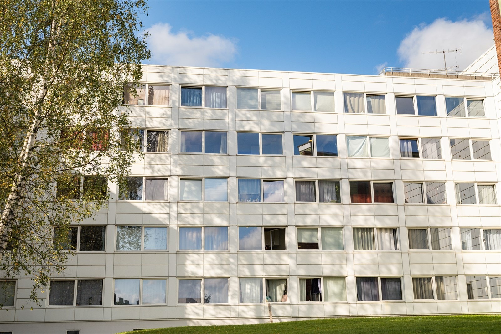 Fasade. Galleribilde