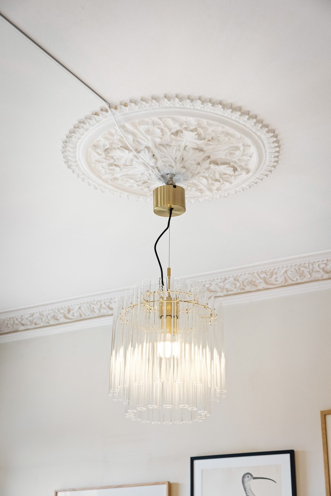 Klassisk rosett Galleribilde