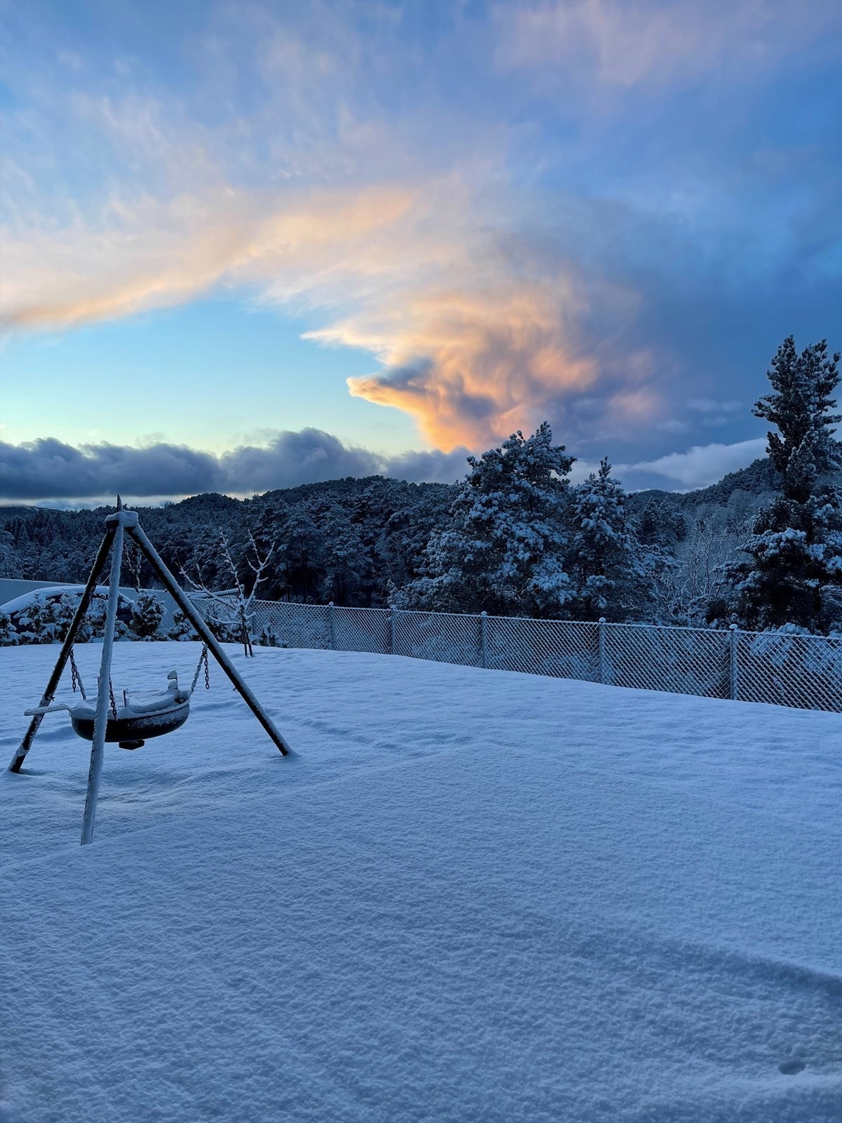 Selgers private bilde. Galleribilde