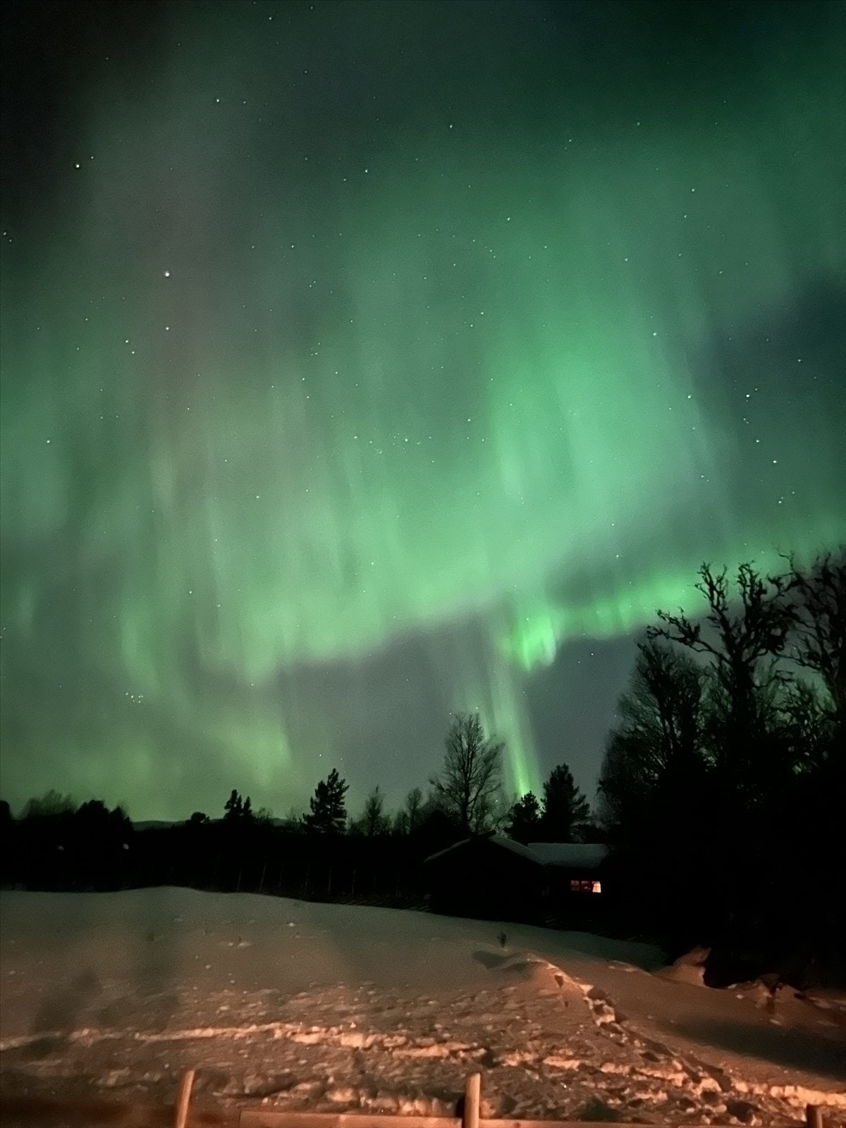 Selgers private bilder: Galleribilde