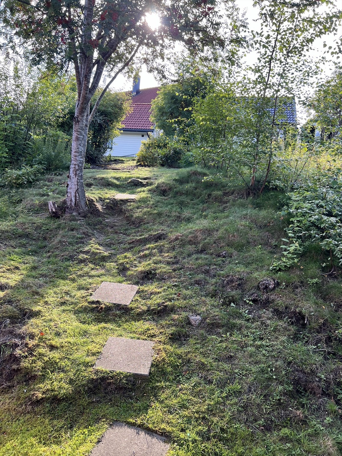 Snarvei via egen tomt til bussholdeplass og skole m.m. Galleribilde