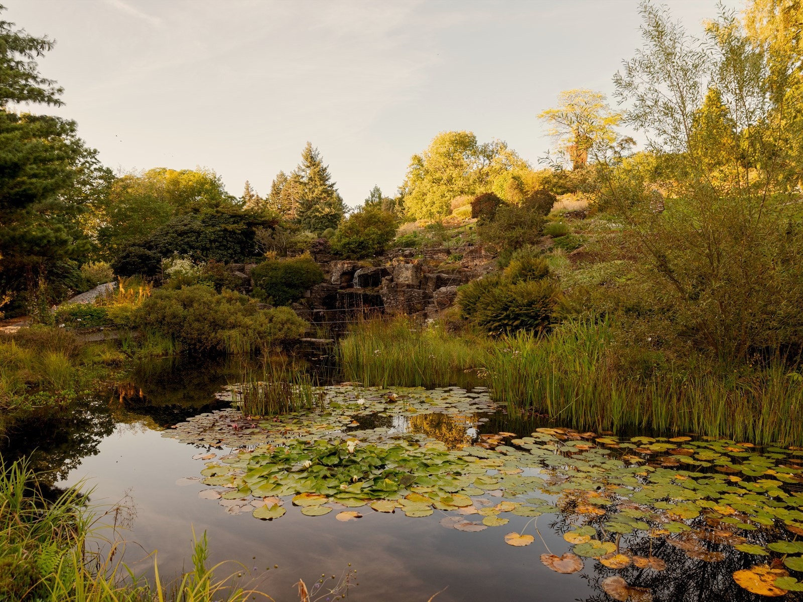 Botanisk Hage på Tøyen er en grønn oase med vakre planter, rolige stier og historiske bygninger. Her kan du nyte en stille spasertur, piknik eller kulturelle opplevelser i naturskjønne omgivelser. Galleribilde