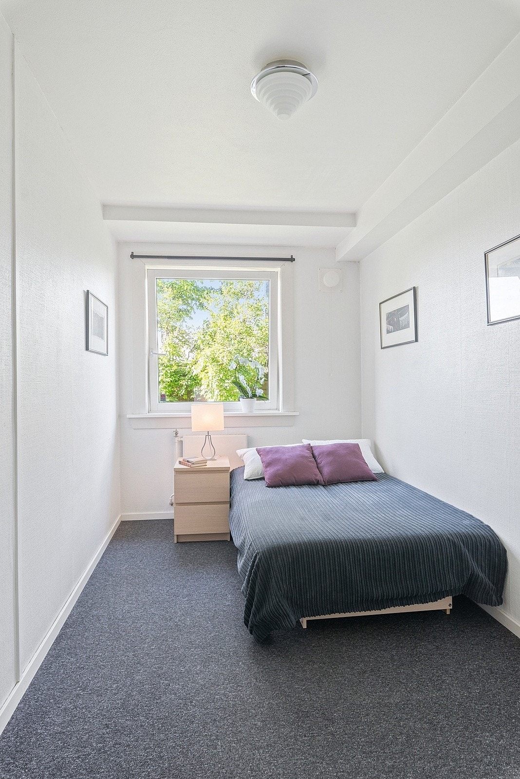 Soverom med plass til dobbelseng Galleribilde