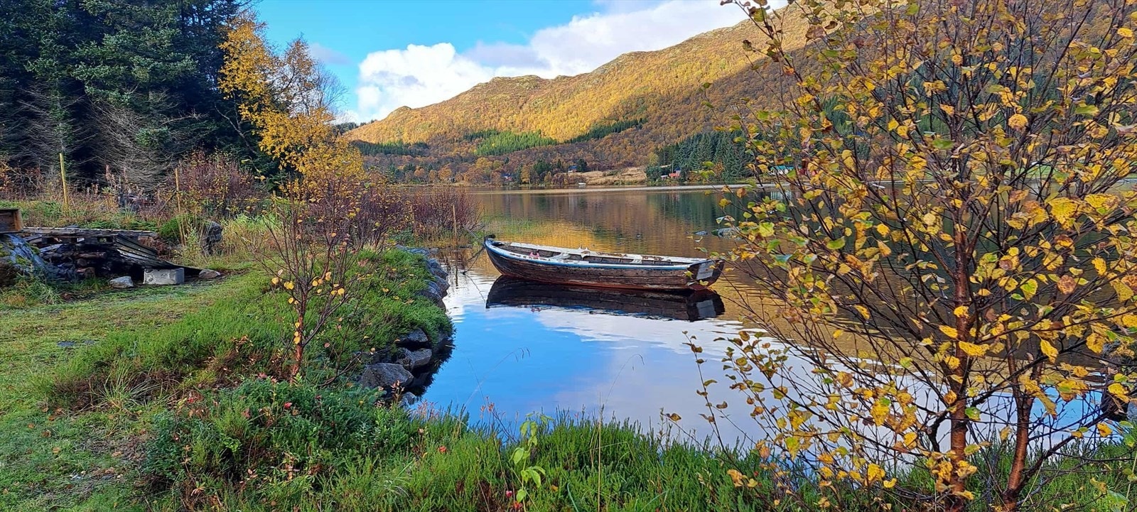 Ved vannet.jpg Galleribilde