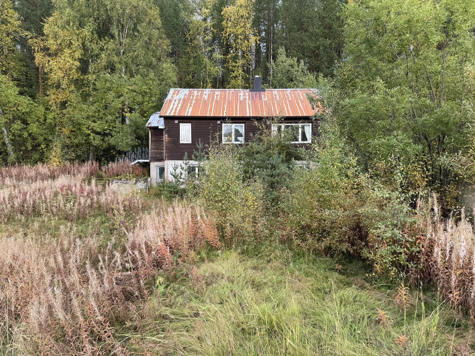 IMG_1423.jpeg Galleribilde