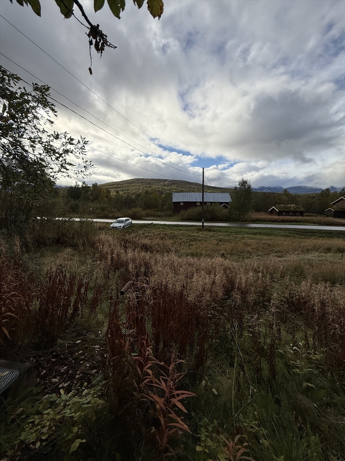 IMG_1426.jpeg Galleribilde