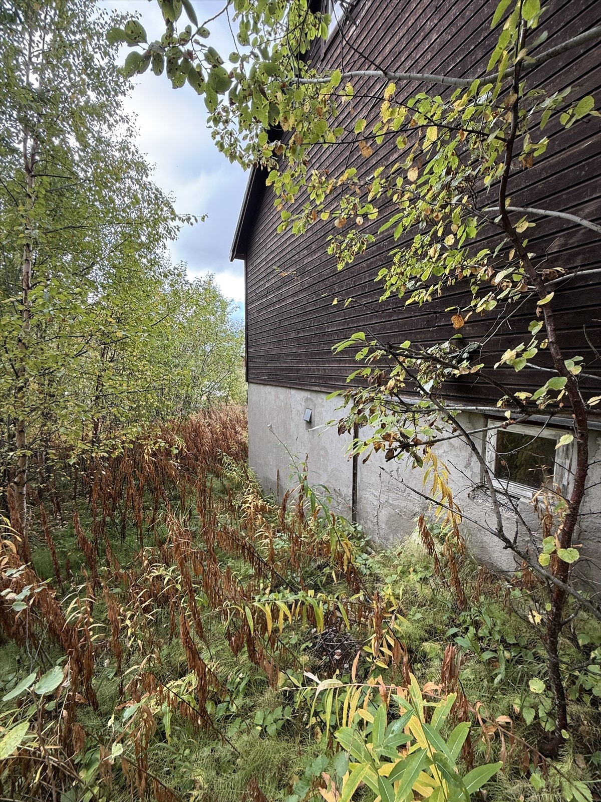 IMG_1458.jpeg Galleribilde