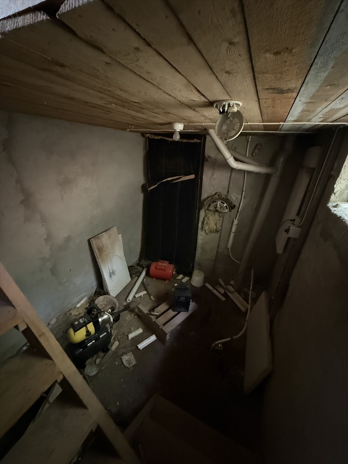 IMG_1443.jpeg Galleribilde