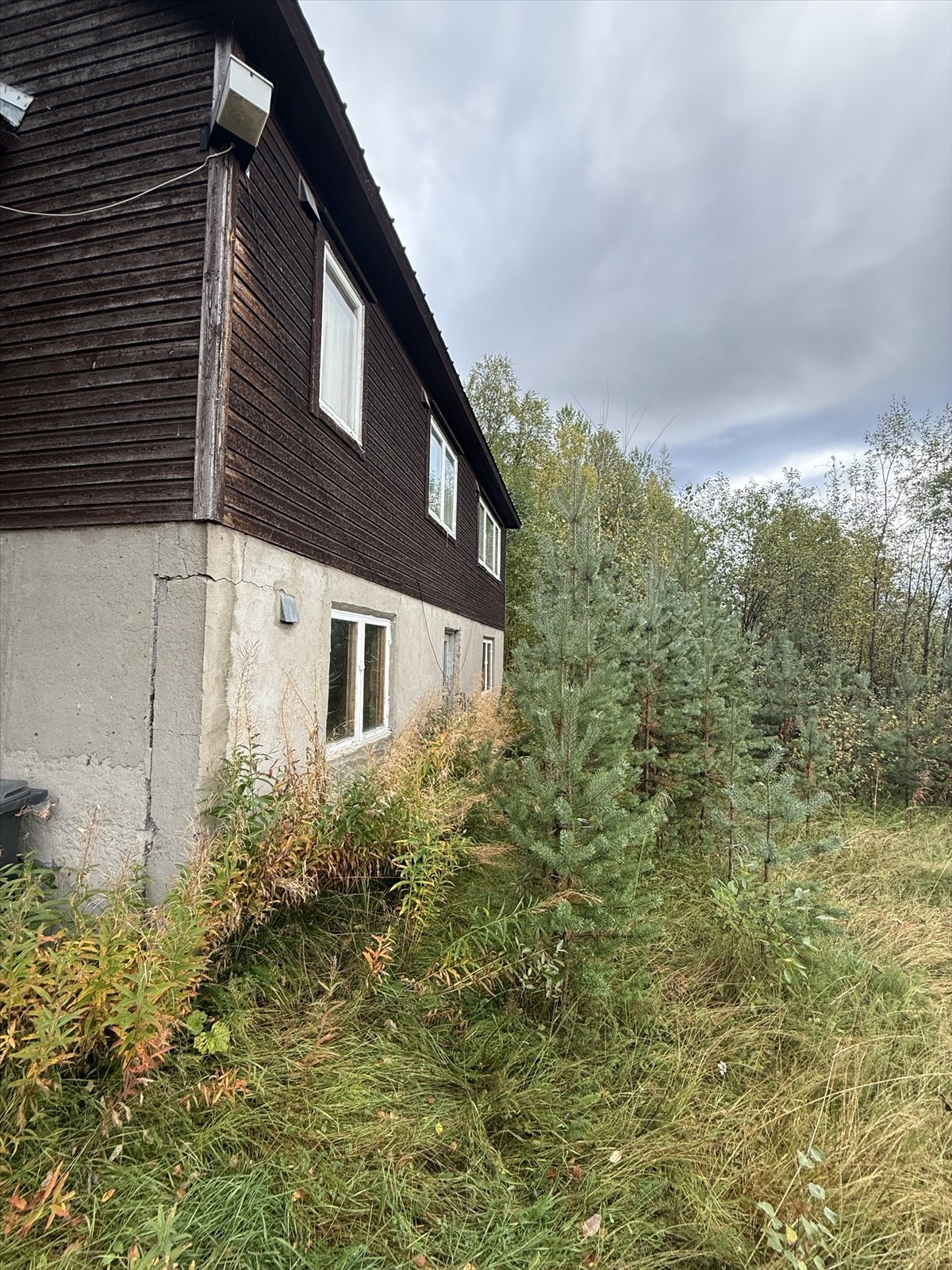 IMG_1469.jpeg Galleribilde