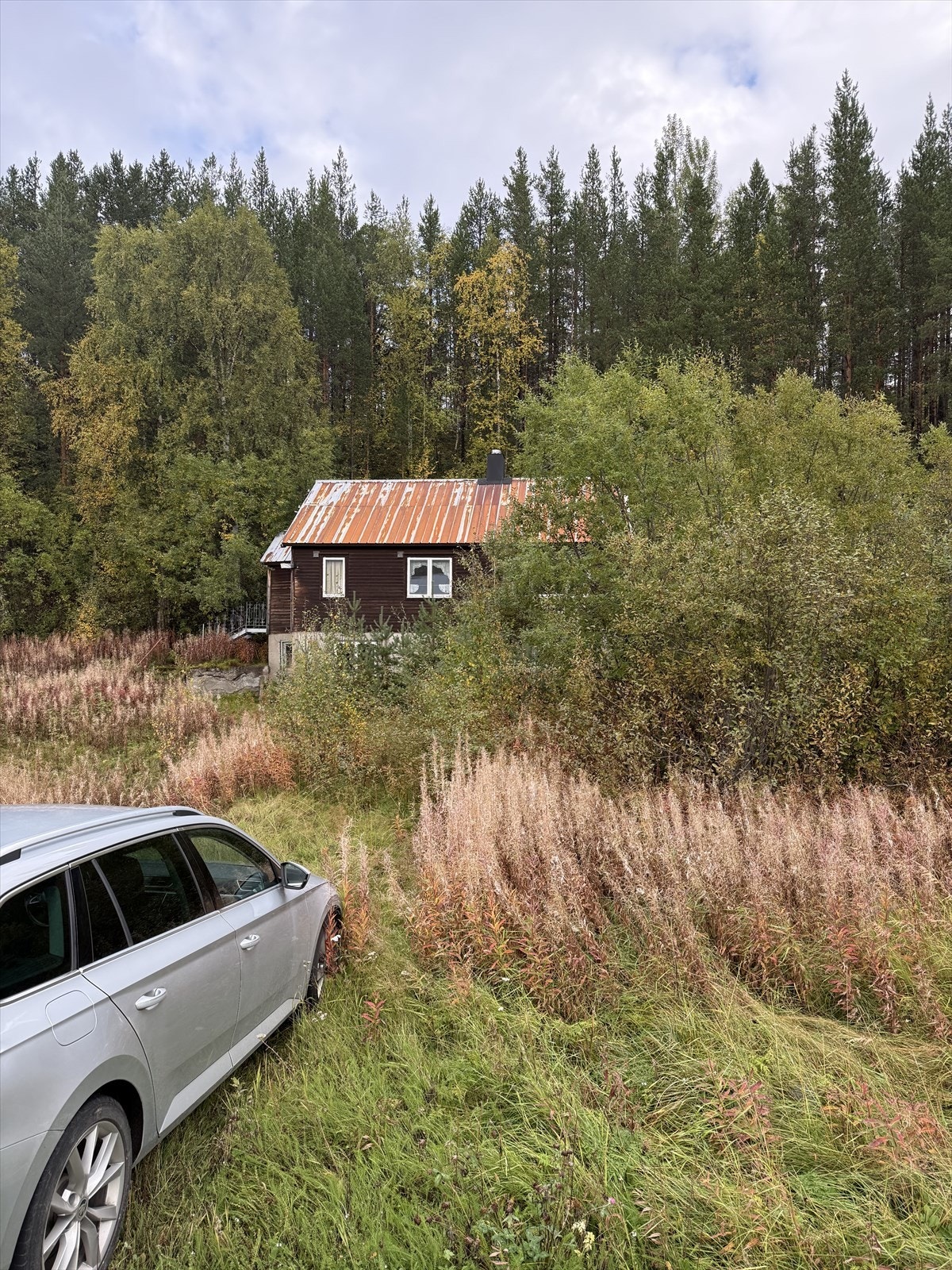 IMG_1472.jpeg Galleribilde