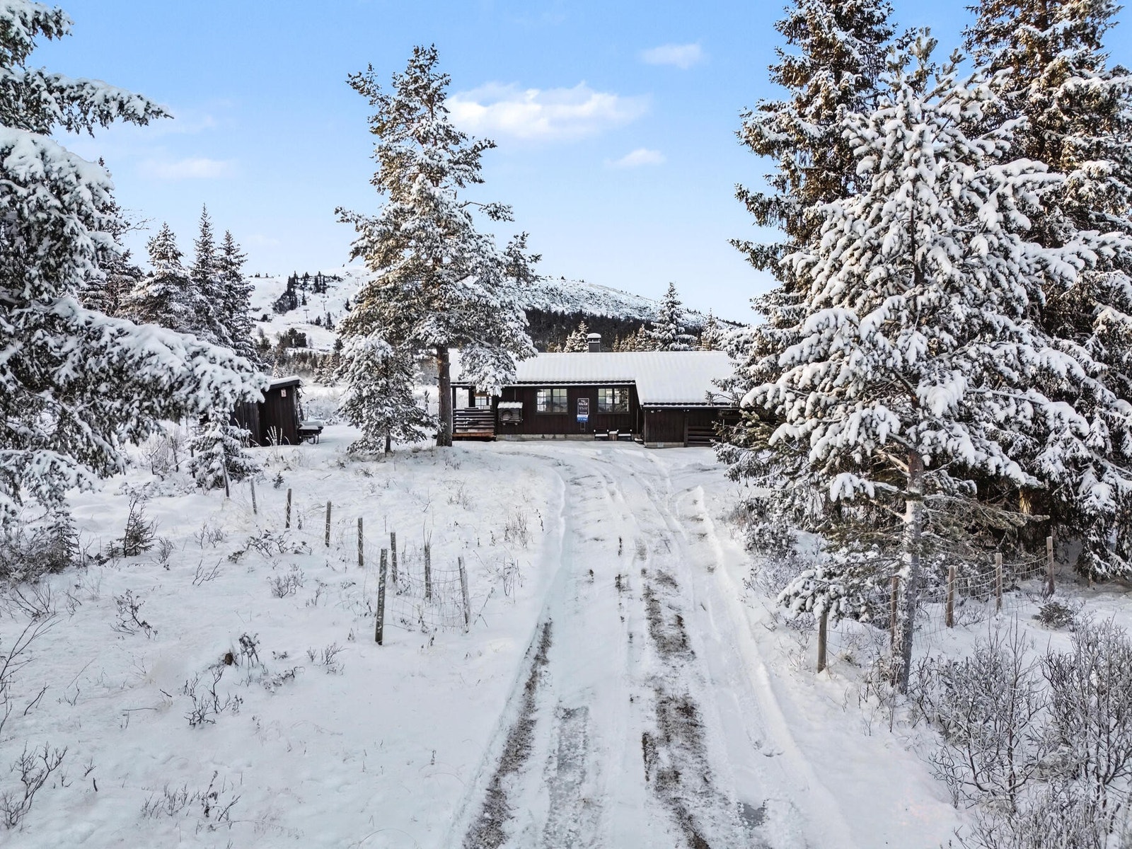 Velkommen på visning! Galleribilde