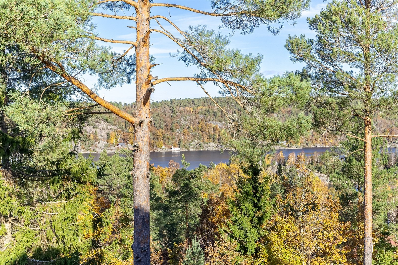 Upåklagelig utsikt Galleribilde