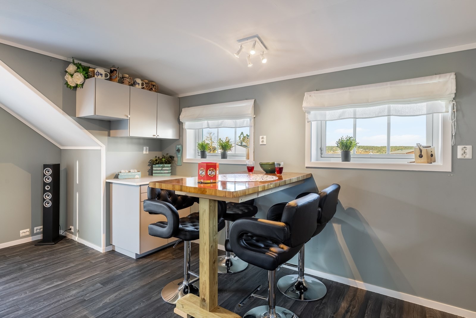 Garasjeloftet har liten barløsning og minikjøkken Galleribilde