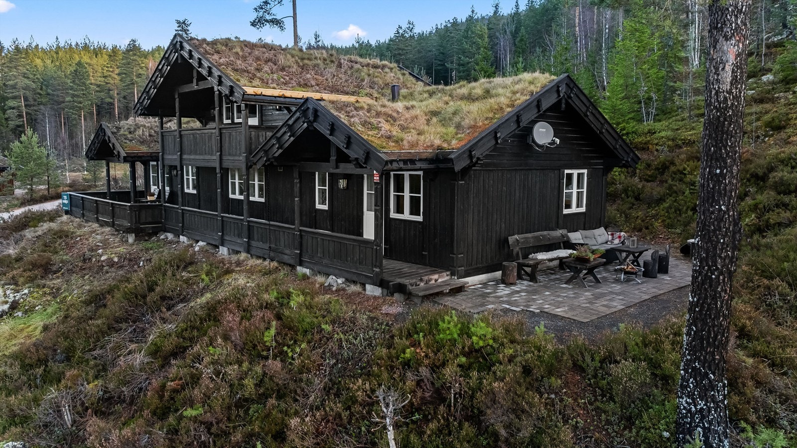 Naturtomt Galleribilde