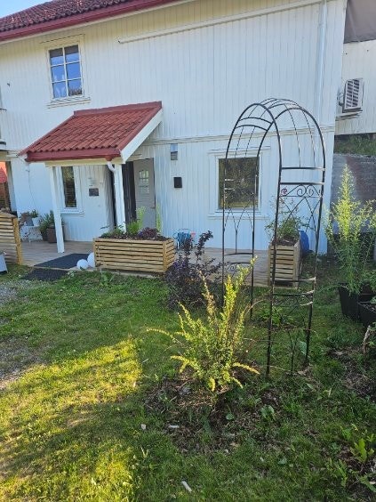 Sommer i Ryllikveien 4D Galleribilde