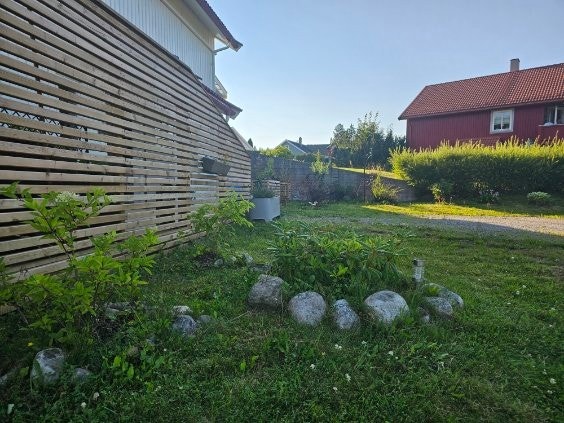 Sommer i Ryllikveien 4D Galleribilde