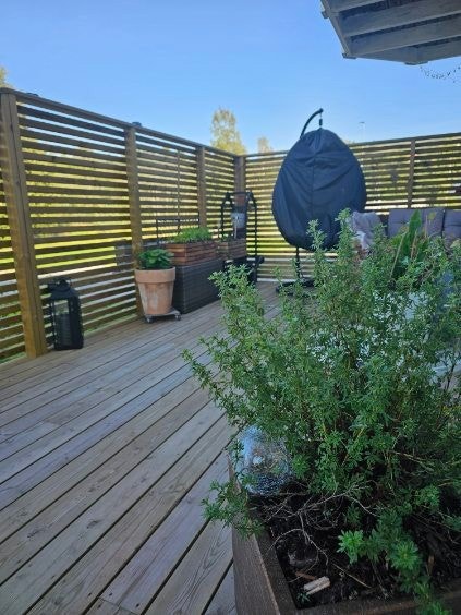 Sommer i Ryllikveien 4D Galleribilde